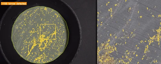 1,761 instances annotation plate